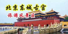 性感美女爆操中国北京-东城古宫旅游风景区